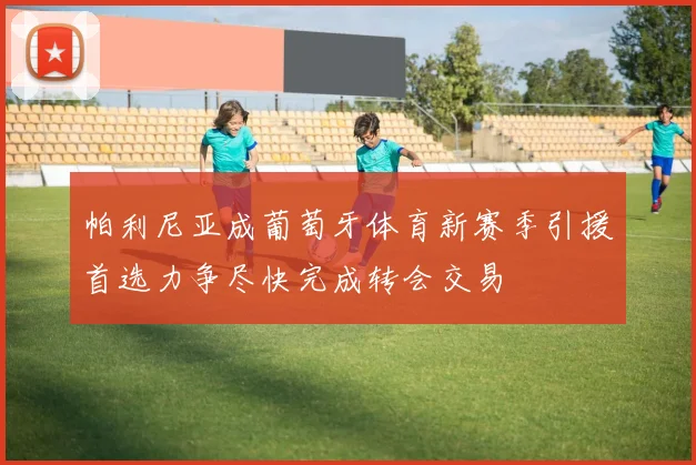 帕利尼亚成葡萄牙体育新赛季引援首选力争尽快完成转会交易