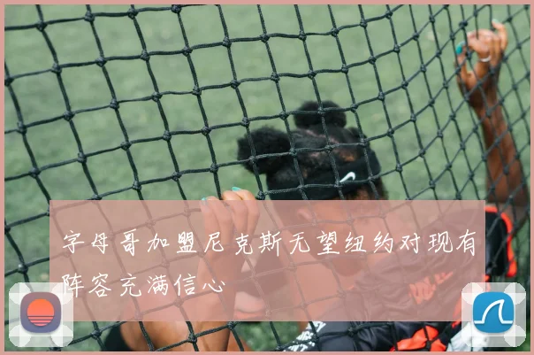 字母哥加盟尼克斯无望纽约对现有阵容充满信心